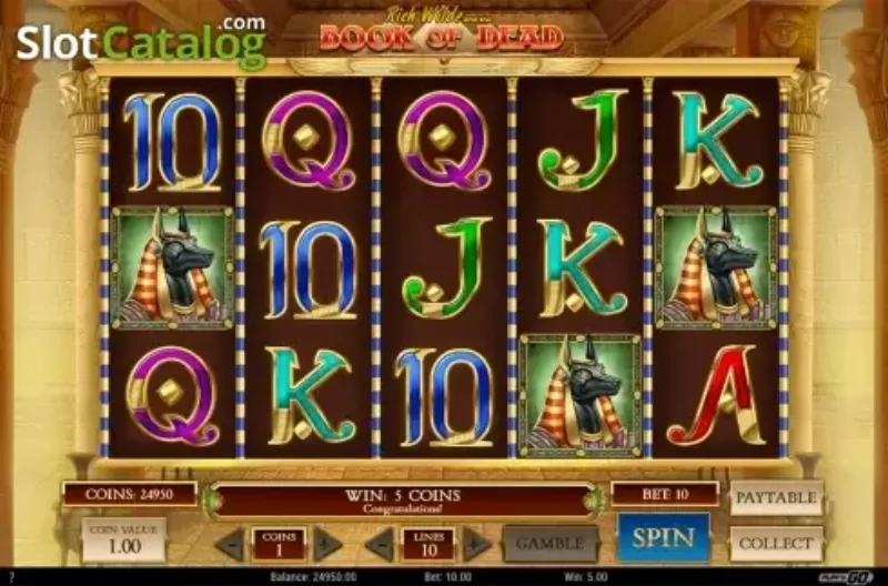 Cómo Funciona el Live Betting en RETAbet